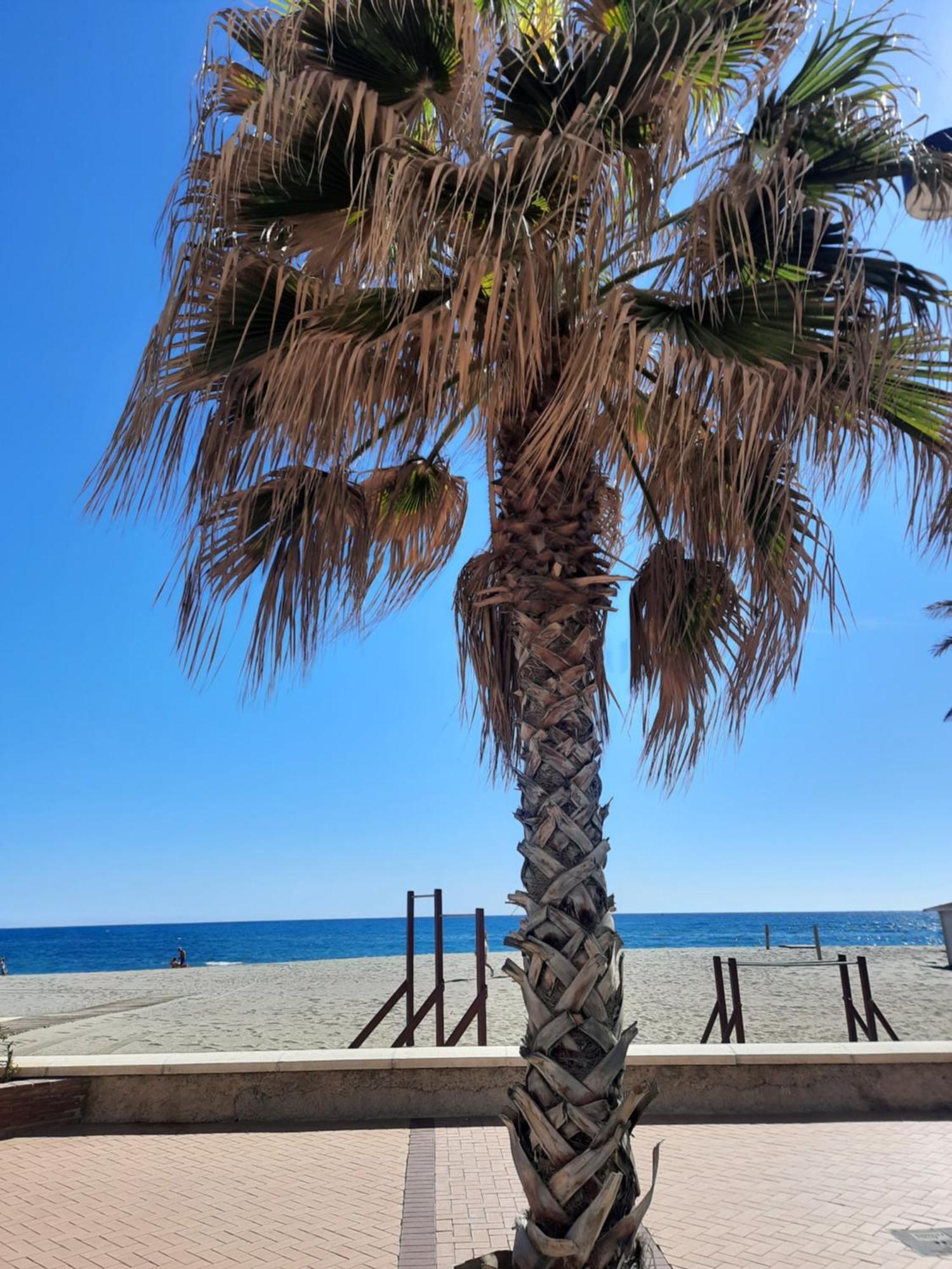Fuengirola Apartment Carvajal Front Line Primera Linea Dış mekan fotoğraf